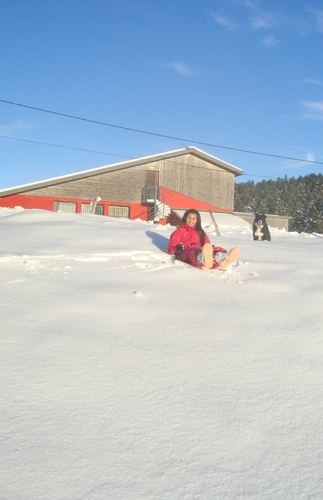 Sledging in the field near the lodge